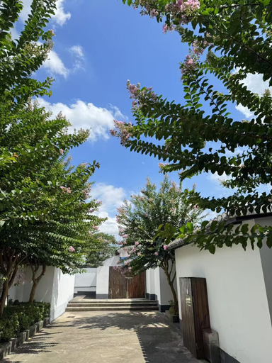 Property grounds 5, Yiyi Zhenxuan Hostel, Shanghai