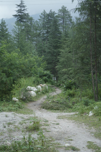 Miscellaneous 2, Hotel Parwati Nest, Kullu
