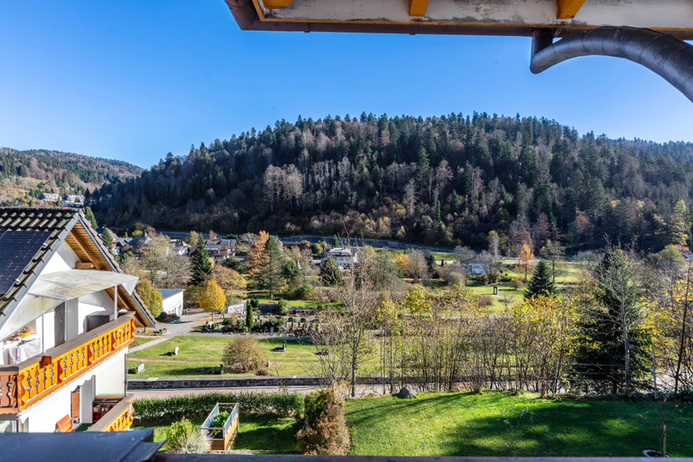 View from property, Haus Monika, Waldshut