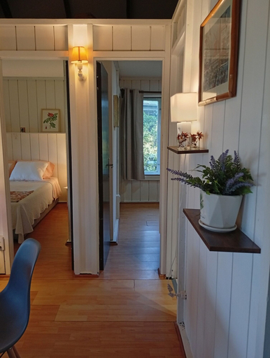 Room 4, Lakefront Aculeo Red House Wifi Pet Wood Hot Tub, Maipo