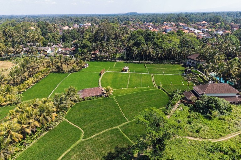 Aerial view 3, Dusun Villas Complex Ubud, Gianyar
