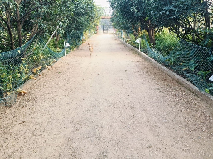 Property grounds 3, Tulip Garden And Resort, Mandla