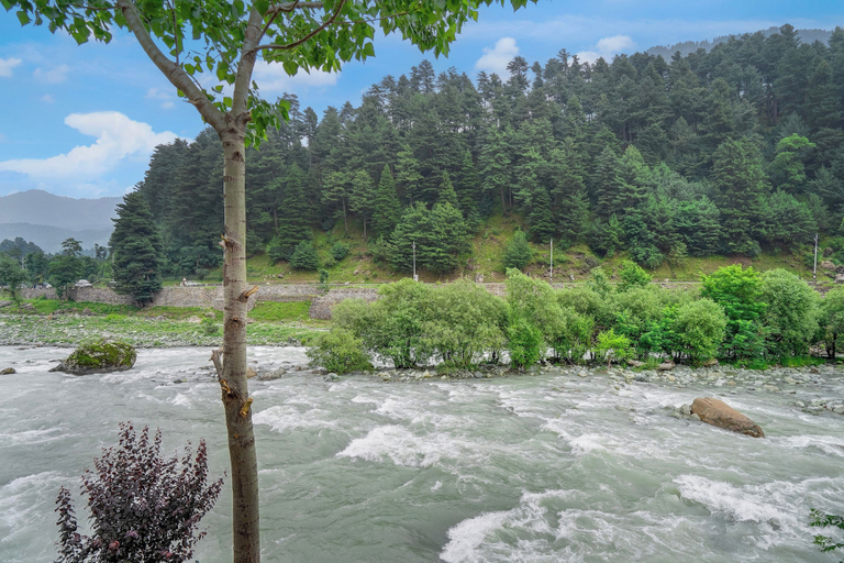 Miscellaneous 4, DanCenter Riverside Lexus Regency, Anantnag