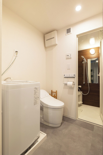 Bathroom 5, Dash Living Kagurazaka, Shinjuku