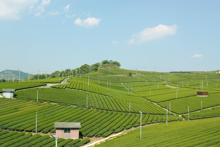 Exterior & Views 2, Greenpia Yame, Kurogi