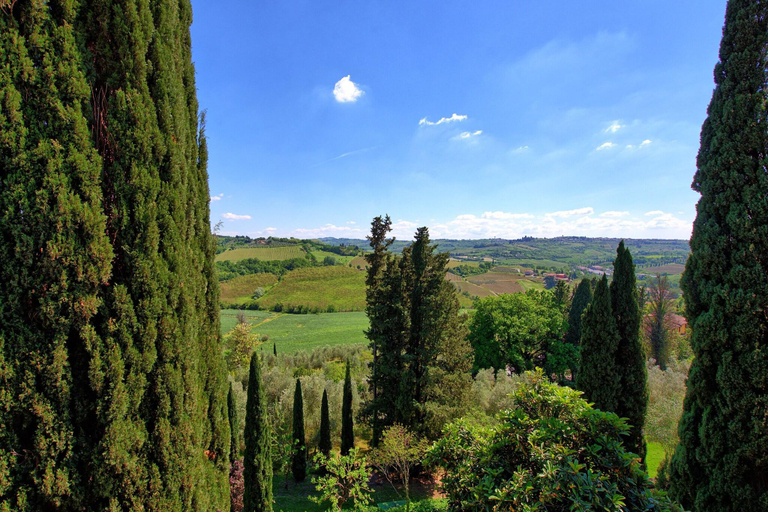 Exterior & Views 1, Castello Di Montegufoni, Florence
