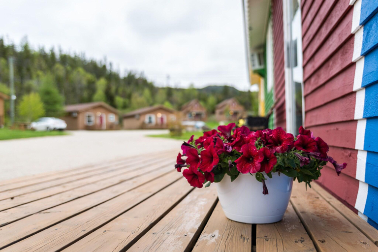 Others 5, Middle Brook Cottages & Chalets, Division No. 9