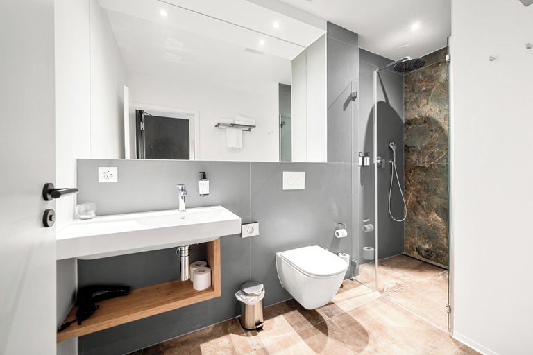 Bathroom 5, Hine Adon Fribourg Nord Self checkin, La Sarine