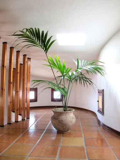 Public Area 3, Hotel Pop, Nuoro