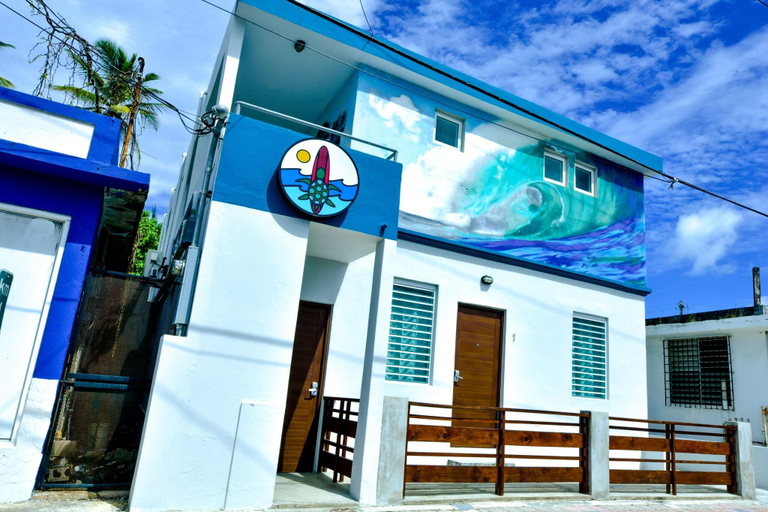 Exterior & Views 2, The Surfing Turtle