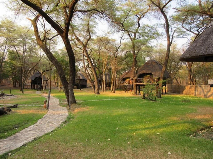 Exterior & Views 4, Sikumi Tree Lodge, Hwange