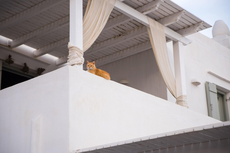 Others 5, Maisons A La Plage, South Aegean