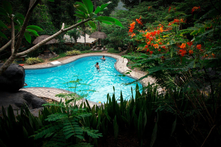 Sport & Beauty 5, Pugmarks Jungle Resort, Wayanad