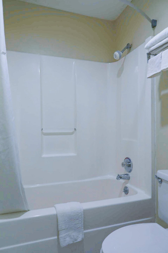 Bathroom 4, Economy Inn by OYO Ashburn I-75, Turner
