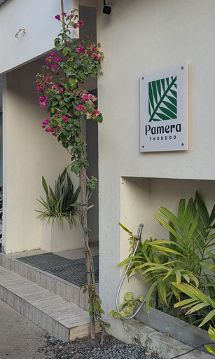 Exterior, Pamera Thoddoo