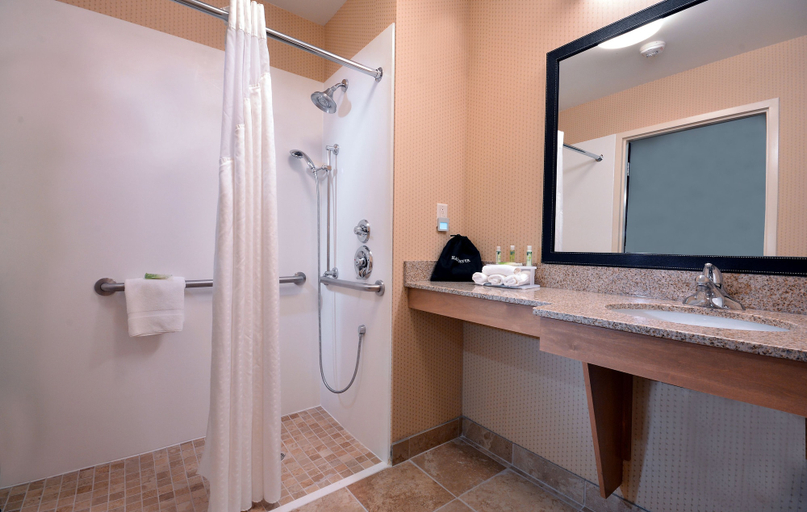 Bathroom 3, Holiday Inn Express & Suites HIGH POINT SOUTH by IHG, Randolph