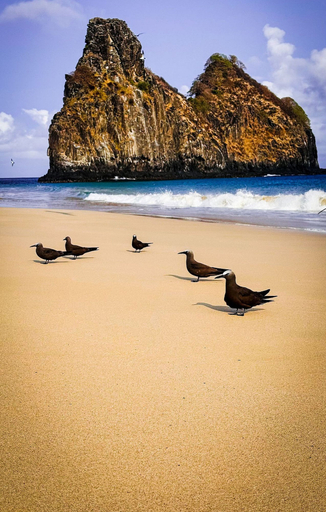 5, Cabana Mulungu, Fernando de Noronha