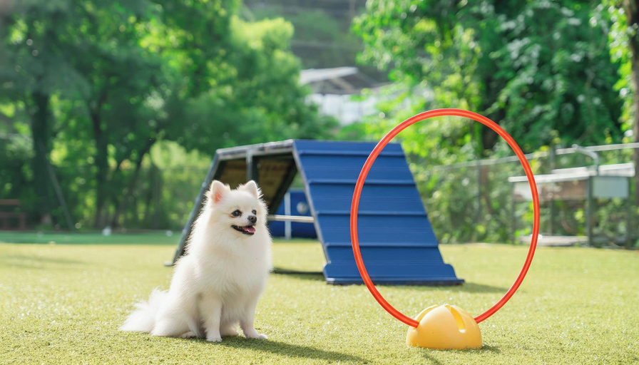 Others 1, Gapyeong High Mong Glamping & Camping, Gapyeong