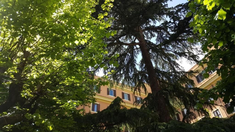 Exterior & Views 4, B&B A Casa Di Lia   Home In Rome, Rome