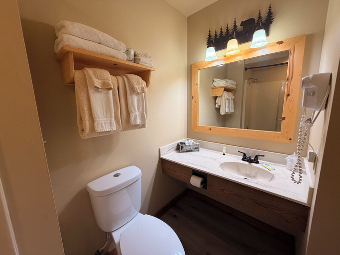Bathroom 5, Eagle River Inn and Resort, Vilas