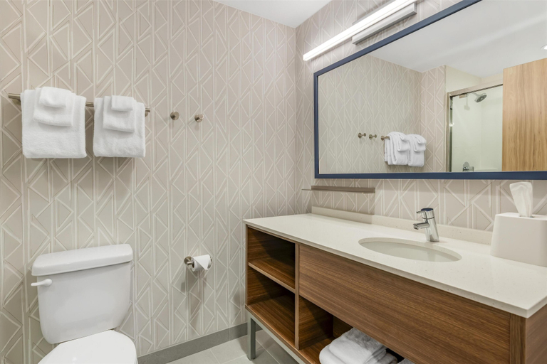 Bathroom 4, Home2 Suites By Hilton Bozeman Four Corners, Gallatin