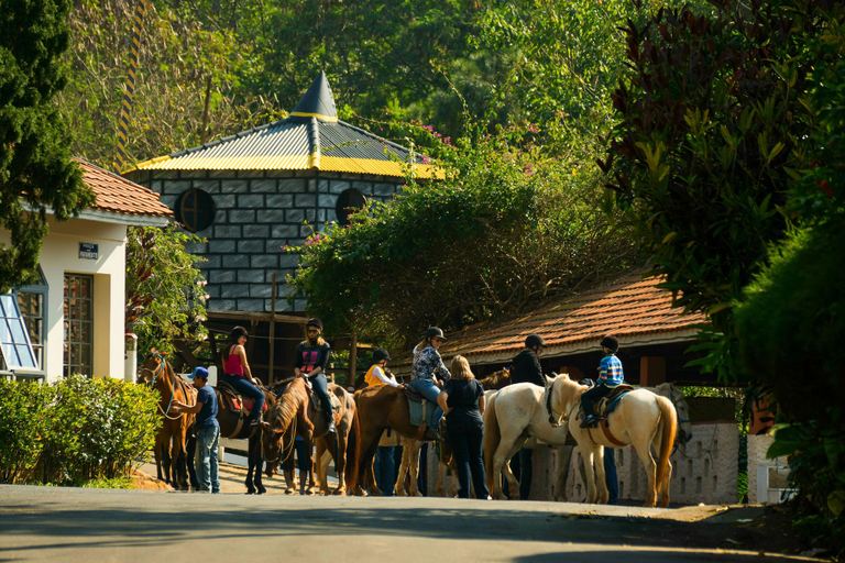 Horseback riding 5, Hotel Fazenda Fonte Colina Verde, São Pedro