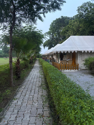 Others 5, Agra Camps and Resort, Agra