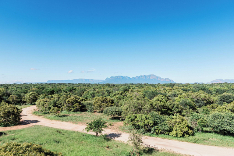 Exterior & Views 2, Moditlo River Lodge, Mopani