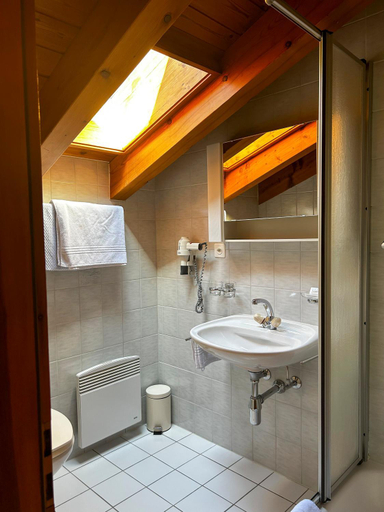 Bathroom, Hotel Les Bouquetins, Sierre