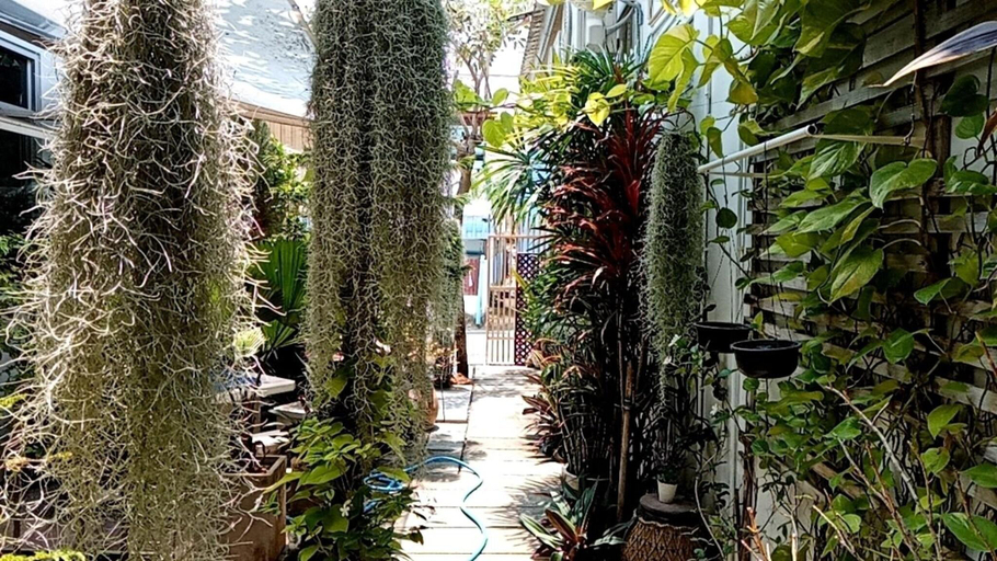 Others 5, Daddy S Home Guesthouse Huahin, Hua Hin