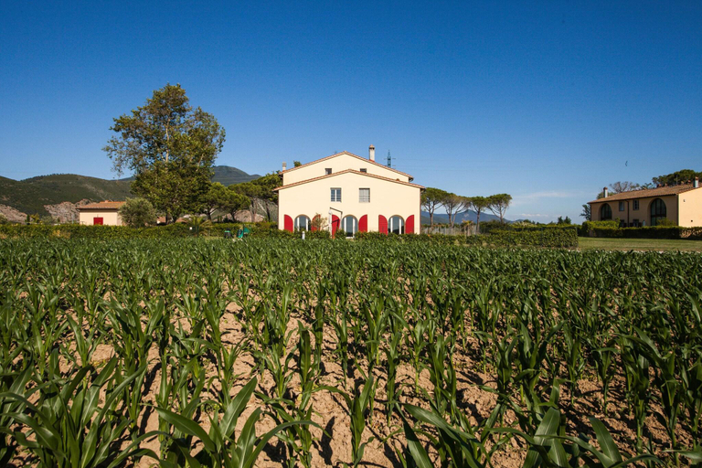 Exterior & Views 4, B&B Canova, Pisa