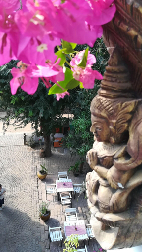 Others, Bagan Nova Guest House, Myingyan