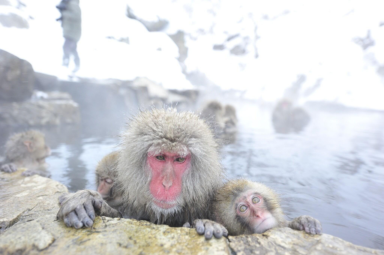 Others 3, Shiga Ichii Hotel, Yamanouchi