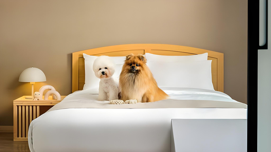 Bedroom 4, Hanwha Resort Pyeongchang, Pyeongchang