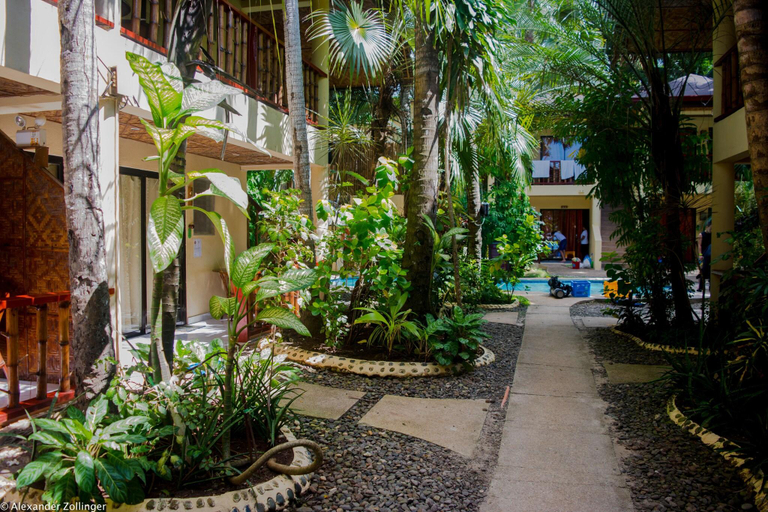 Public Area 3, Alona Vida Beach Resort, Panglao