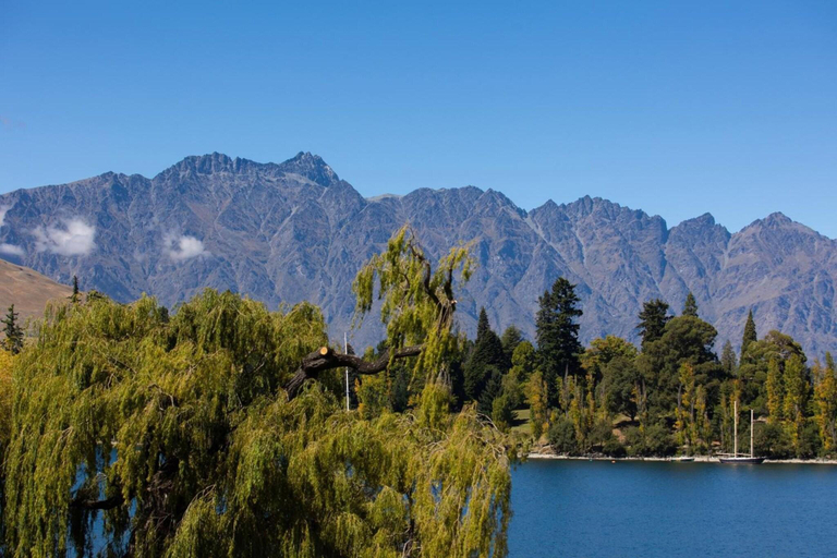 Exterior & Views 2, Lakeside Motel, Queenstown-Lakes