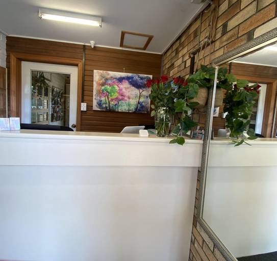 Public Area 2, Centre Point Mid City Motor Inn, Warwick - Central