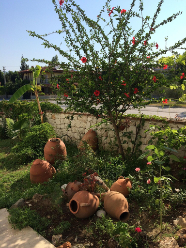 Exterior & Views 2, Kilim Apart Hotel, Fethiye