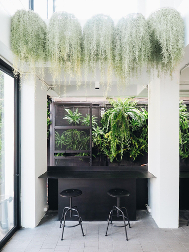 Public Area 3, Loyy Hotel - Hostel, Muang Chiang Mai