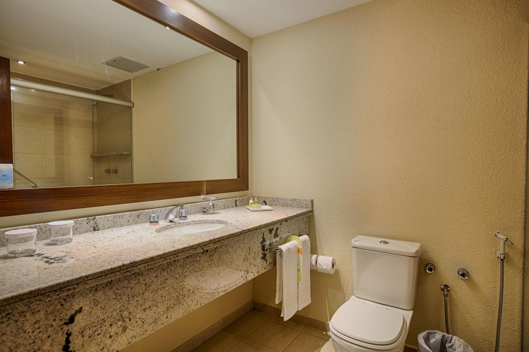 Bathroom 4, Quality Hotel Curitiba, Curitiba