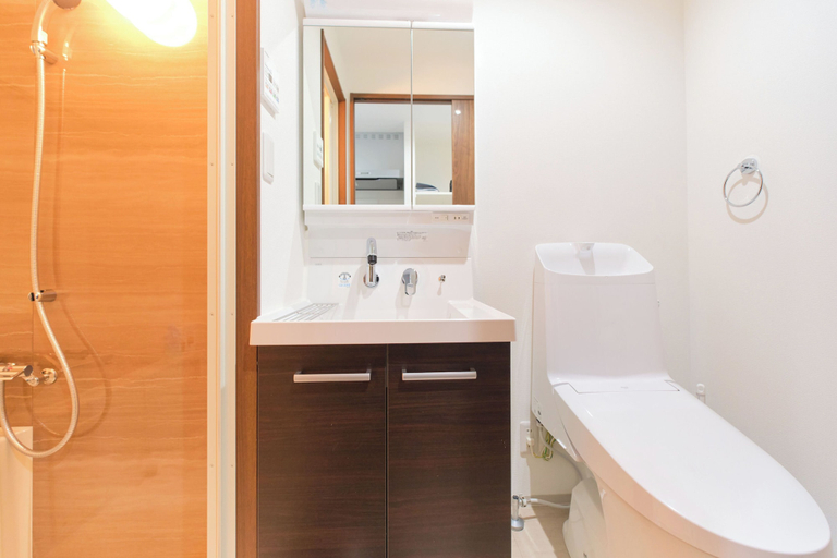 Bathroom 4, Sarcosuchus Higashikomagata, Sumida