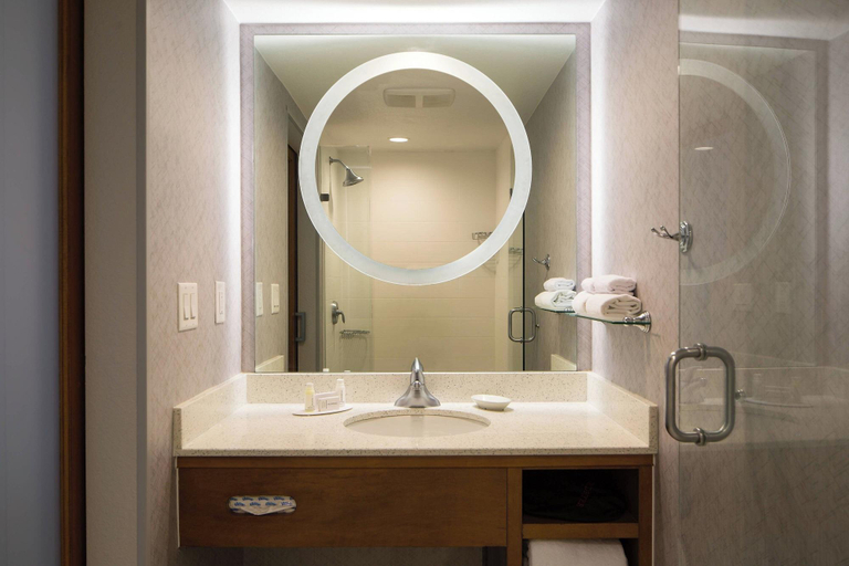 Bathroom, SpringHill Suites by Marriott Miami Downtown/Medical Center, Miami-Dade