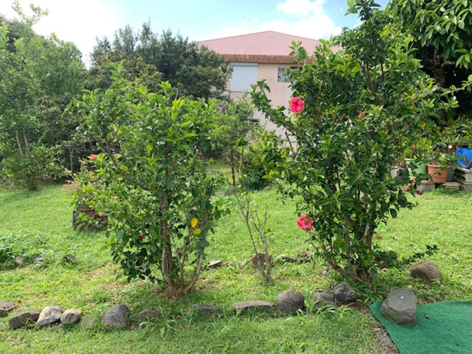 Others 5, Appartement charmant a Riviere-Salee, 45 m² avec terrasse privee, Rivière-Salée