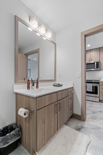 Bathroom 3, Sable 203 - Alcove, Hennepin