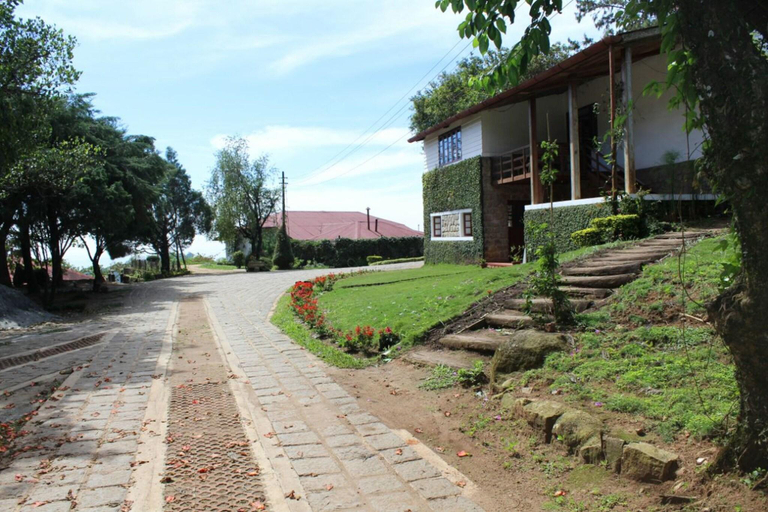 Exterior & Views 2, Windermere Estate, Idukki