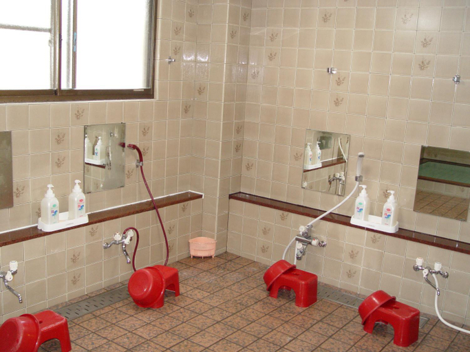 Bathroom 3, Petit Hotel Shitaka, Hakuba