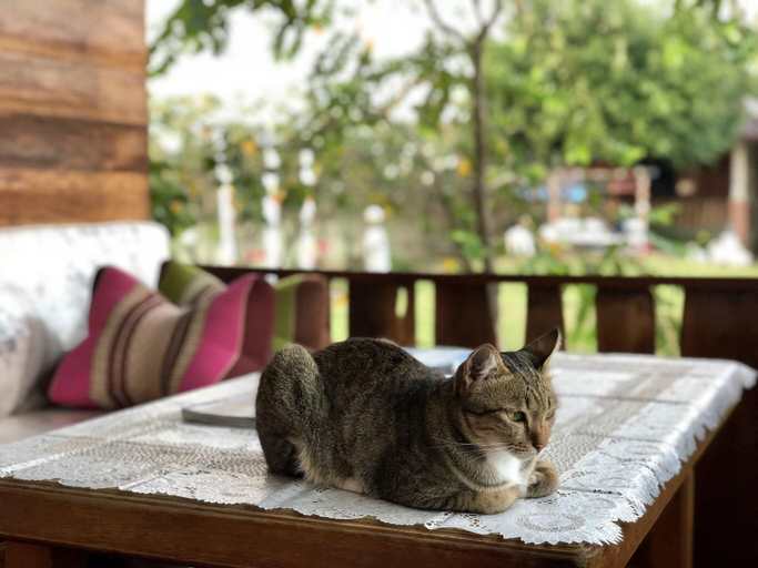 Public Area, Phupha Inn Resort, Wang Thong