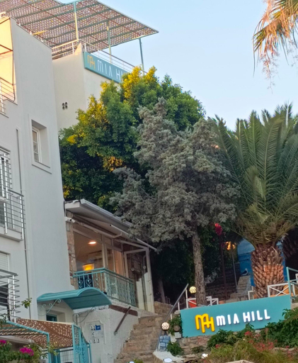 Exterior & Views 2, Mia Hill Suites, Bodrum
