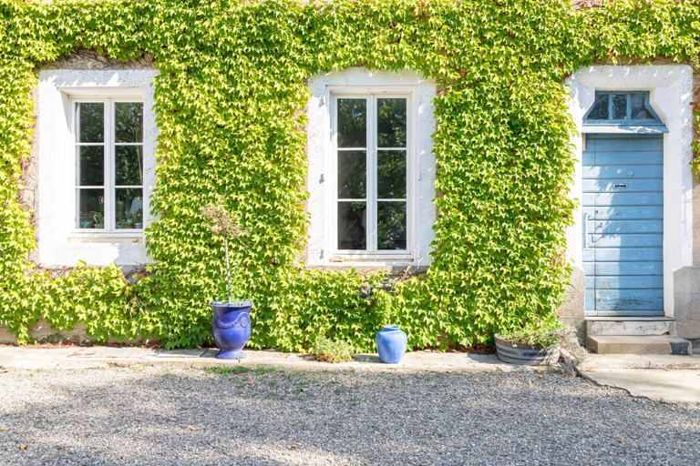 Exterior & Views 2, Château Pech-céleyran, Aude