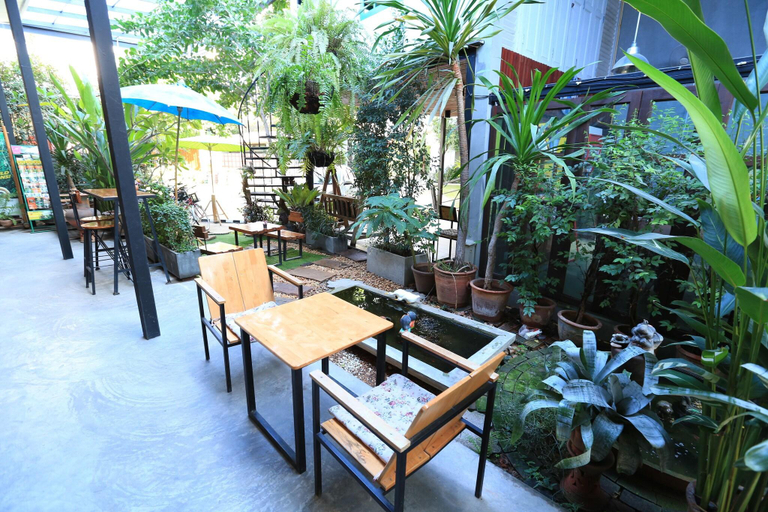 Food & Drinks 5, The White Elephant Home, Muang Chiang Mai